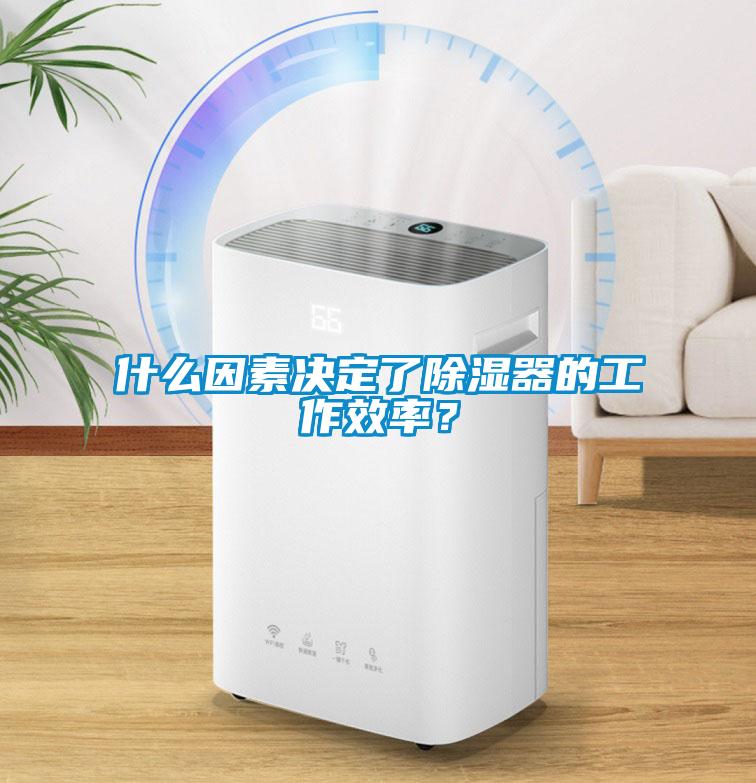 什么因素決定了除濕器的工作效率？