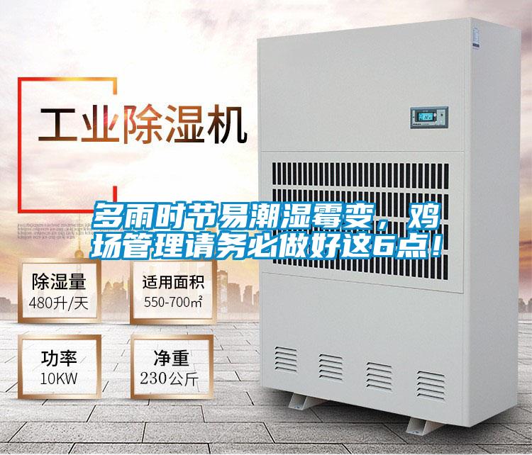 多雨時(shí)節(jié)易潮濕霉變,雞場(chǎng)管理請(qǐng)務(wù)必做好這6點(diǎn)!