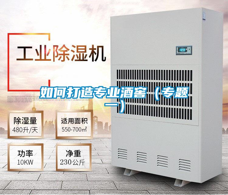 如何打造專業(yè)酒窖(專題一)