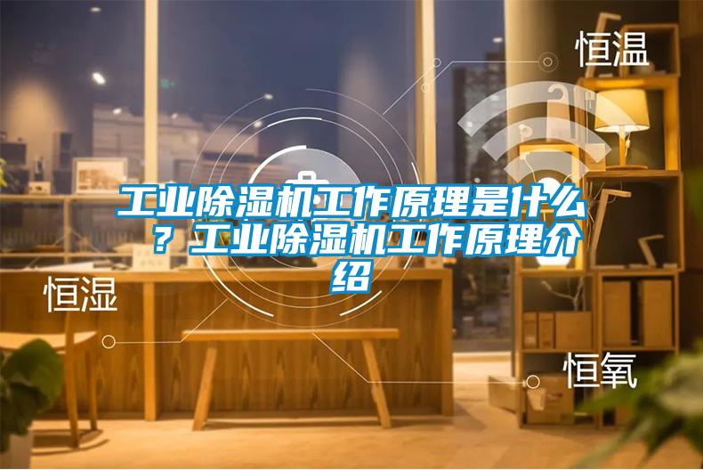工業(yè)除濕機工作原理是什么 ?工業(yè)除濕機工作原理介紹