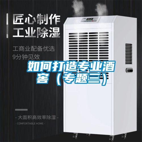 如何打造專業酒窖(專題三)