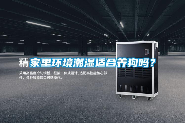 家里環(huán)境潮濕適合養(yǎng)狗嗎？