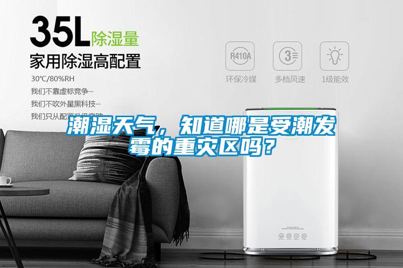 潮濕天氣，知道哪是受潮發霉的重災區嗎？