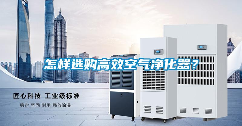 怎樣選購高效空氣凈化器?
