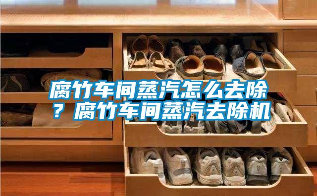 腐竹車(chē)間蒸汽怎么去除?腐竹車(chē)間蒸汽去除機(jī)