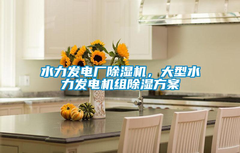 水力發(fā)電廠除濕機,大型水力發(fā)電機組除濕方案