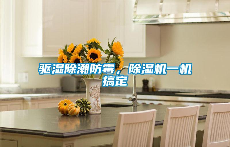 驅濕除潮防霉,除濕機一機搞定