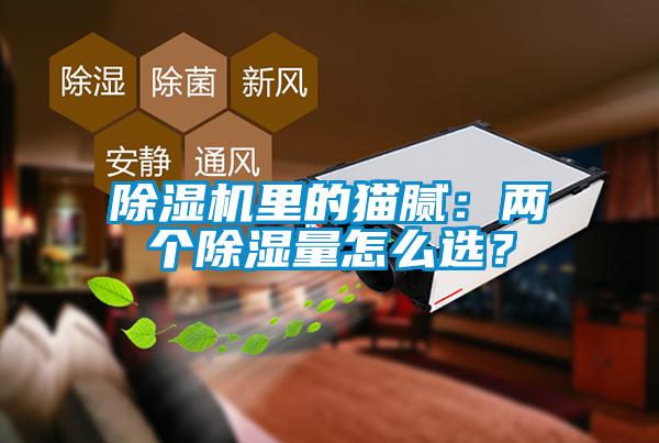 除濕機里的貓膩:兩個除濕量怎么選?