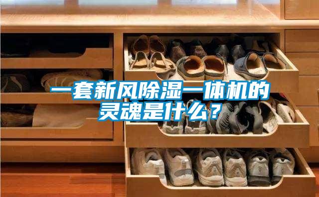 一套新風(fēng)除濕一體機(jī)的靈魂是什么?