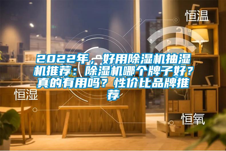 2022年，好用除濕機(jī)抽濕機(jī)推薦：除濕機(jī)哪個(gè)牌子好？真的有用嗎？性價(jià)比品牌推薦