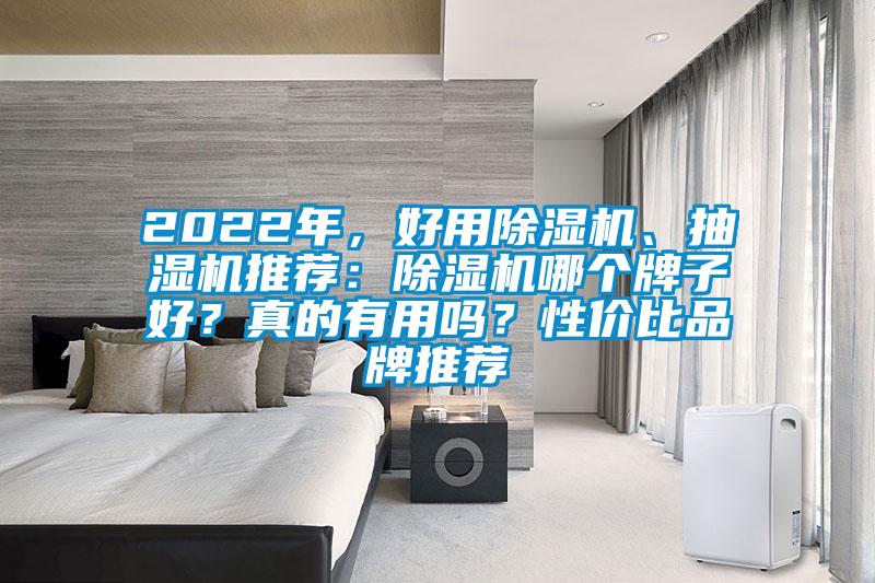 2022年,好用除濕機(jī)、抽濕機(jī)推薦:除濕機(jī)哪個(gè)牌子好?真的有用嗎?性價(jià)比品牌推薦