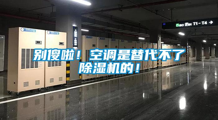 別傻啦!空調(diào)是替代不了除濕機的!